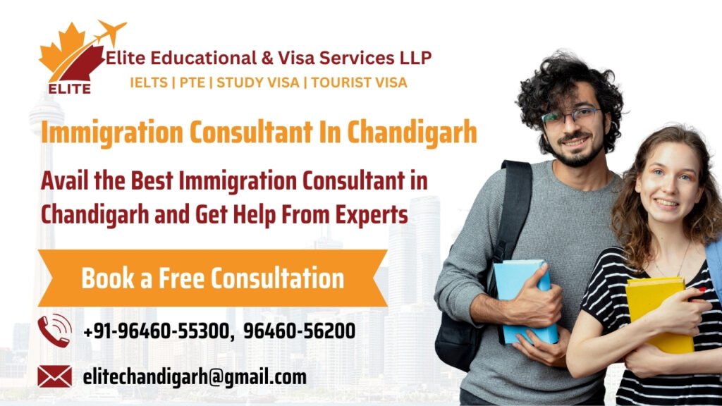 Immigration Consultant In Chandigarh