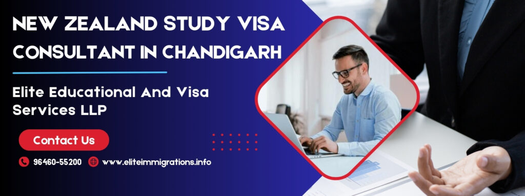 New Zealand Study Visa Consultant In Chandigarh