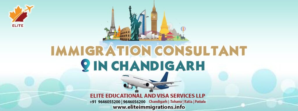 Immigration Consultant in Chandigarh